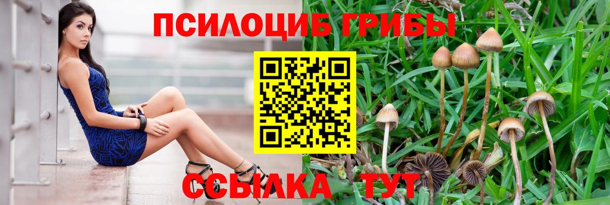 Псилоцибиновые грибы MAGIC MUSHROOMS Магнитогорск