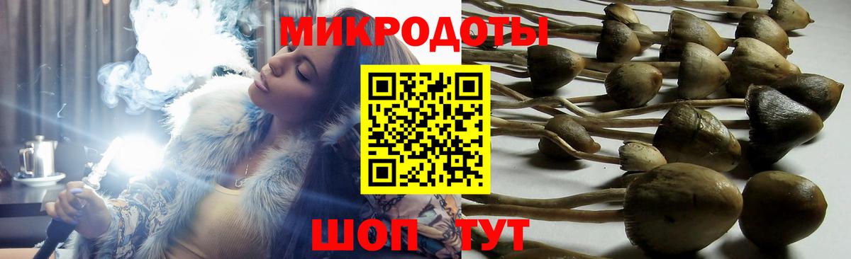 что такое наркотик  Вход с VPN  Галлюциногенные грибы Psilocybine cubensis  Магнитогорск  Галлюциногенные грибы Magic Shrooms 